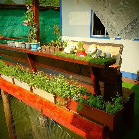 Dutchman Homestay Ko Kut Ngoại thất bức ảnh